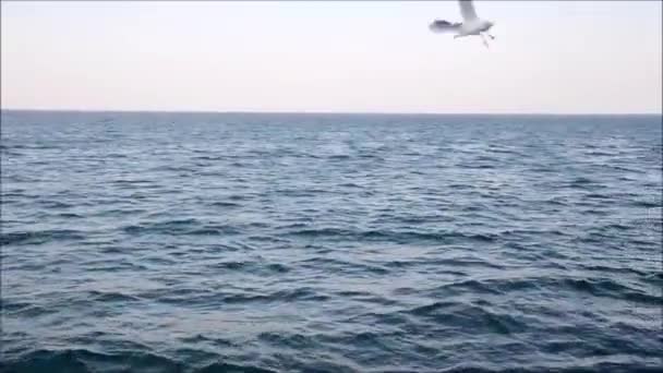 Eau de mer bleue passant vue d'un bateau en mouvement avec des étincelles et des reflets de lumière — Video