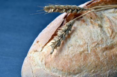 Bir tablo üzerinde taze pişmiş geleneksel ekmek