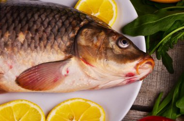 Bir tablodaki bir ölü balık Cyprinus carpio carpio 