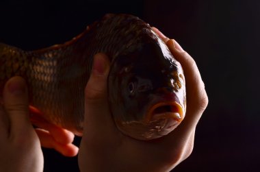 Adam elinde taze büyük balık. 