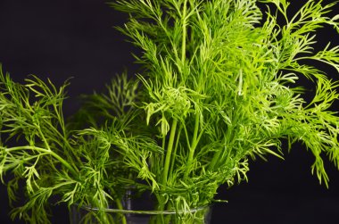 demet dereotu eski ahşap tahta üzerinde asılı iple bağlı