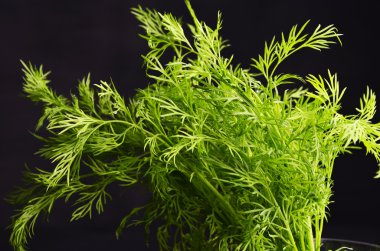 siyah arka plan üzerine dereotu