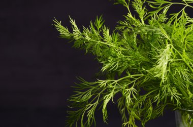 siyah arka plan üzerine dereotu