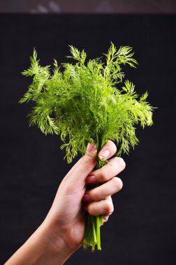 siyah arka plan üzerine dereotu