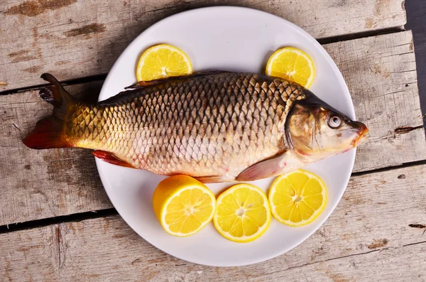 Stor färsk fisk guldsparid på bädd av citron, grön oliv, smaksatt med kryddor — Stockfoto