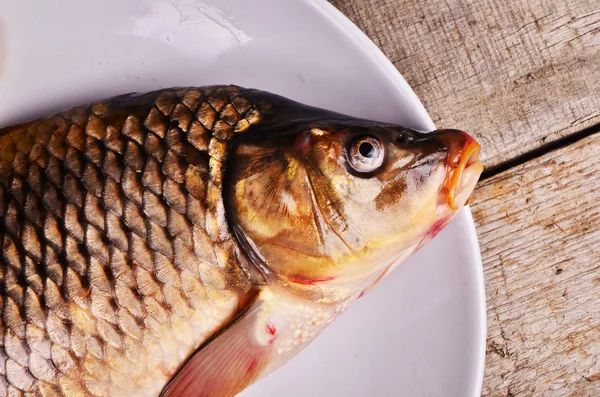 Rå fisk med citron på pannan och på ett bord — Stockfoto
