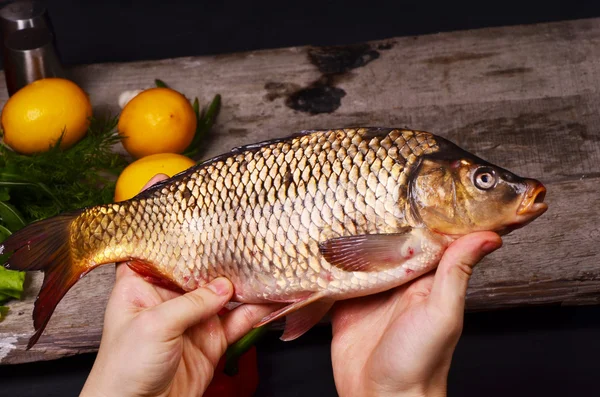 Färsk stor fisk i man hand. — Stockfoto