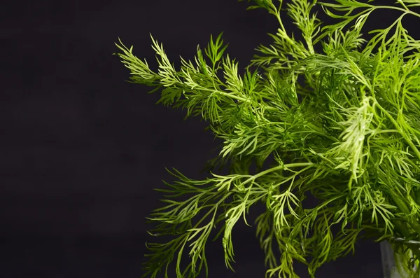 siyah arka plan üzerine dereotu