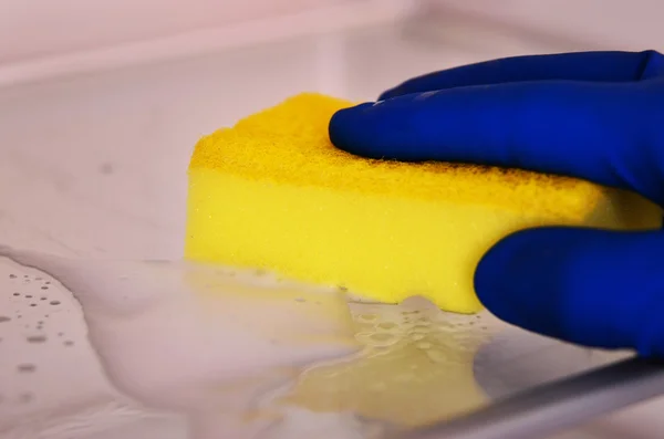 Woman's hand in blue rubber protective glove cleaning white open empty refrigerator with yellow rag.  Cleaning concept. Clean — Stock Photo, Image