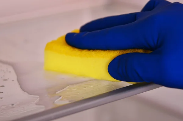 Woman's hand in blue rubber protective glove cleaning white open empty refrigerator with yellow rag.  Cleaning concept. Clean Stock Image