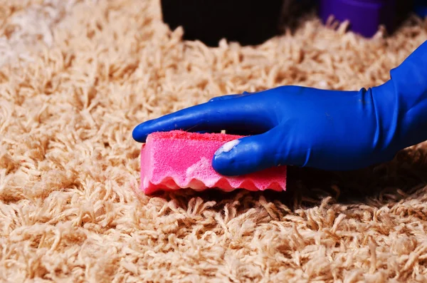 Personas, tareas domésticas y concepto de limpieza - primer plano de la mujer en guantes de goma con tela y detergente alfombra de limpieza en aerosol en el hogar —  Fotos de Stock