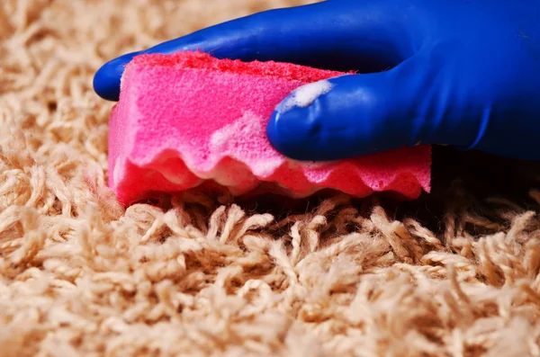 Personas, tareas domésticas y concepto de limpieza - primer plano de la mujer en guantes de goma con tela y detergente alfombra de limpieza en aerosol en el hogar —  Fotos de Stock