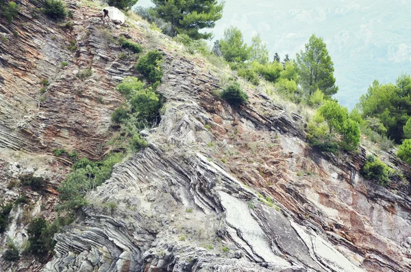 Hırvatistan 'da Split yakınlarındaki Adriyatik kıyıları — Stok fotoğraf