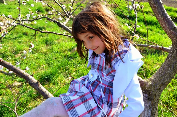 Fröhliches Kind, das im Garten spielt und auf den Baum klettert. Frühling — Stockfoto