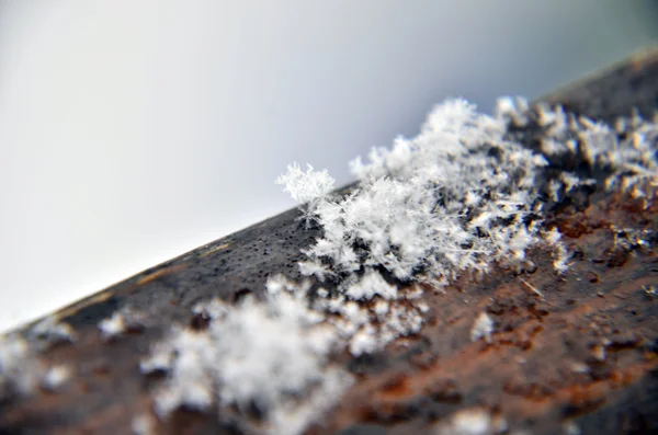 Дерево в морозі. Зимовий ландшафт — стокове фото