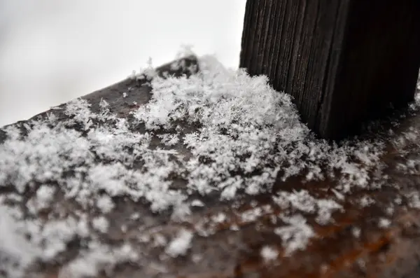 Makro strzał z płatka śniegu — Zdjęcie stockowe