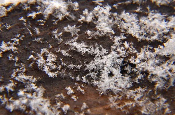 Fundo de inverno. Flocos de neve na neve — Fotografia de Stock