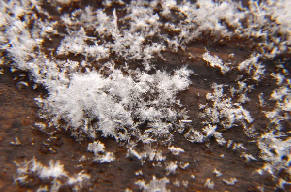 Macro tiro de floco de neve — Fotografia de Stock