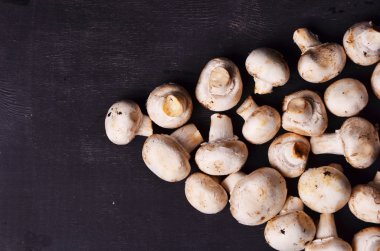 Mantar ile liderlik kavramı