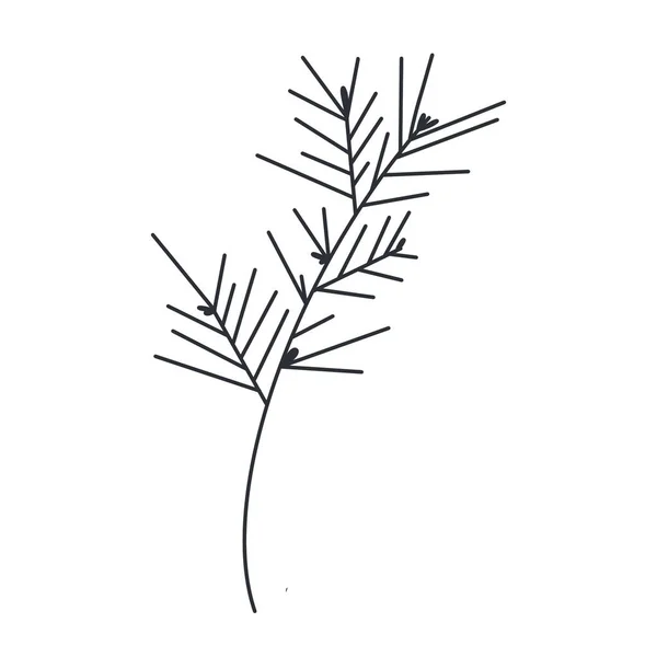 Kawaii Winter Spruce Twigs Freehand Drawn Doodle Digital Art Outline — Stock Photo, Image