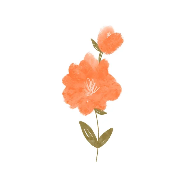 Kawaii可爱的结构春天橘红色花朵在白色的背景上隔离 纹理数字艺术 明信片 纺织品 邀请函 胶粘带 社交媒体和信件印刷品 — 图库照片