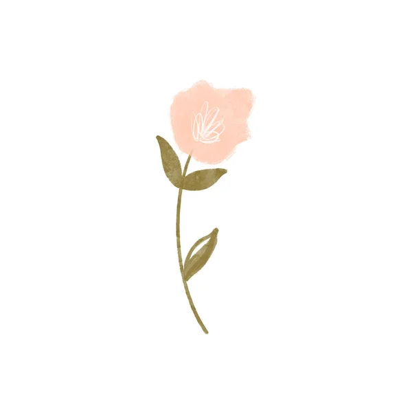 Kawaii Niedlichen Texturierten Frühling Rosa Blume Isolieren Auf Weißem Hintergrund — Stockfoto
