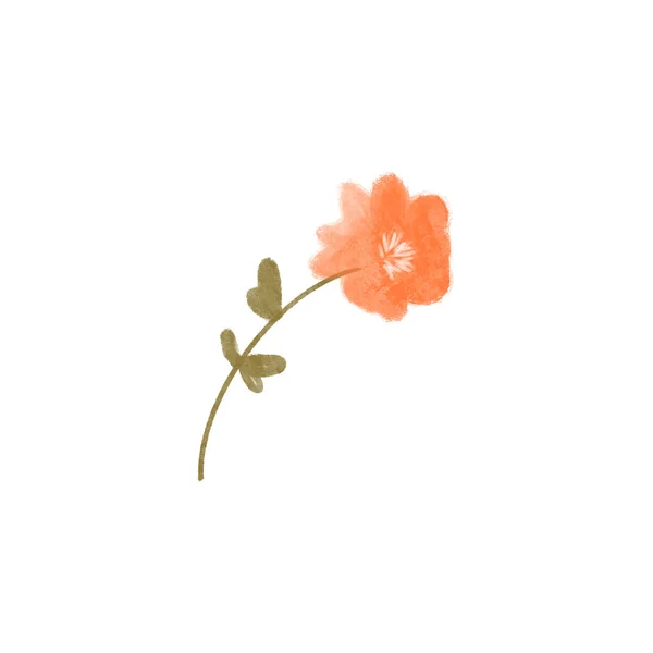 Kawaii Cute Textural Spring Orange Flower Isolate White Background Textured — Stock Photo, Image