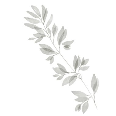 El yapımı tropikal okaliptüs ve palmiye ağacı filizi. Poster, davetiye, düğün, kartpostal, güzellik işi, çıkartma, dövme