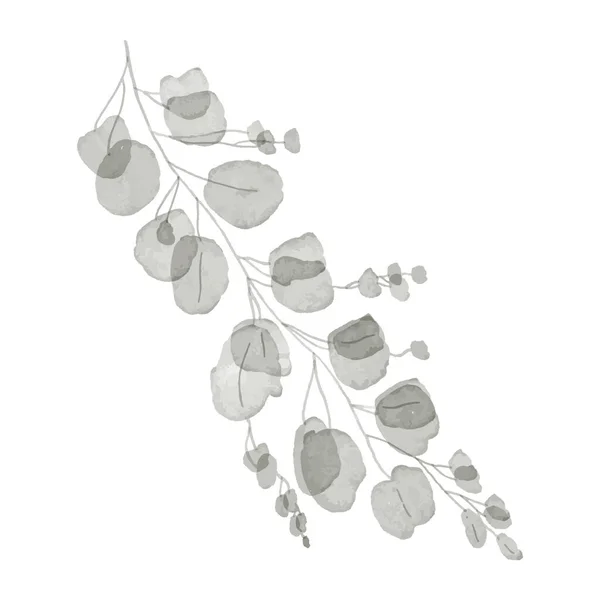 Eucalyptus Exotique Tropical Dessiné Main Branche Palmier Impression Pour Affiche — Image vectorielle