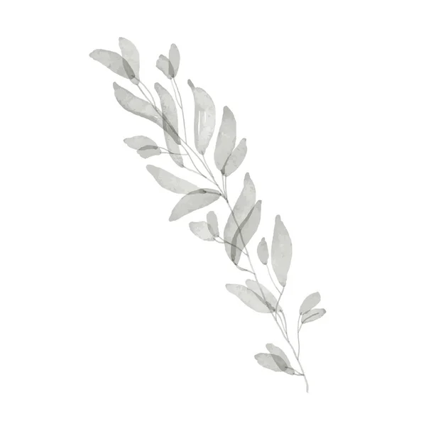 El yapımı tropikal okaliptüs ve palmiye ağacı filizi. Poster, davetiye, düğün, kartpostal, güzellik işi, çıkartma, dövme