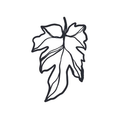 İncirli meyve yapraklı el beyaz arkaplana karalama çiziyor. Contour çizgisi sanatı. Etiket, kafe, ambalaj, marka, davetiye, kartpostal, reklam, menü için yazdır.