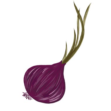 Akdeniz yemeklerinin tamamı beyaz arka planda izole edilmiş soğan çeşnili bitkiler. Renkli kalem çizimi. Menüler, tarifler, yemek tarifleri, tekstil, çıkartma, kartpostal, dövme, kitap