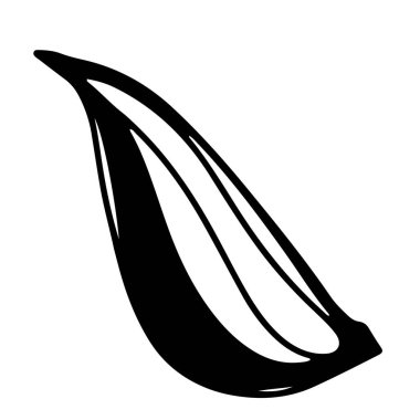 Baharatlı sarımsak filizi. Karalama dijital sanat taslağı. Mutfak, dövme, ambalaj kağıdı tasarımı, menüler, restoranlar, ürünler için baskı