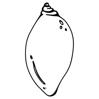 Deniz kabuğu istiridye doğrusal karalama el beyaz arka planda izole çizer. Tek renkli dijital sanat grafikleri. Dövme, boyama kitabı, çocuk sayfası, menü, ambalaj, marka