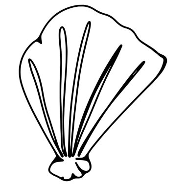 Deniz kabuğu istiridye doğrusal karalama el beyaz arka planda izole çizer. Tek renkli dijital sanat grafikleri. Dövme, boyama kitabı, çocuk sayfası, menü, ambalaj, marka