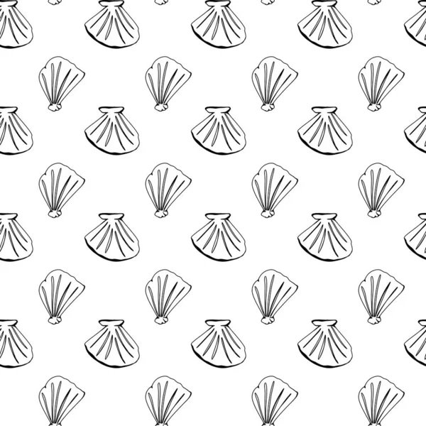 Seashell Contorno Doodle Modello Quadrato Senza Cuciture Isolare Sfondo Bianco — Foto Stock