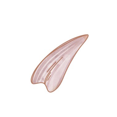 Asyalı sakura çiçeği beyaz arka planda izole edilir. Dokulu suluboya dijital sanat. Çıkartma, kartpostallar, menüler, restoranlar, ambalaj kağıtları, kartpostallar için yazdır