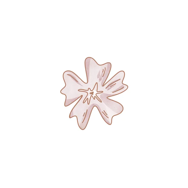 Sakura Asiática Flor Isolada Fundo Branco Arte Digital Aquarela Texturizada — Fotografia de Stock