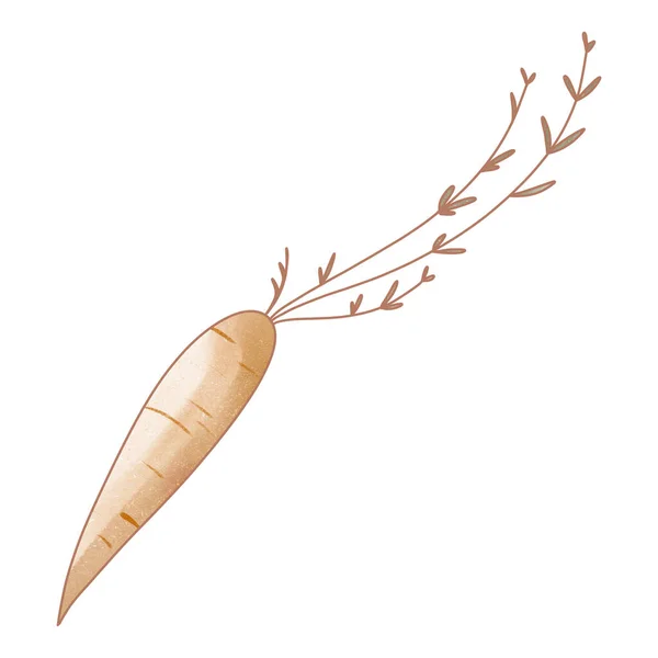 Акварельний Ескіз Їжі Рослинної Апельсинової Моркви Цифрове Мистецтво Друк Логотипу — стокове фото