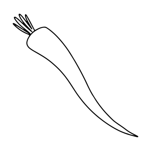 Tinta Contorno Doodle Cenoura Vegetal Arte Digital Impressão Para Logotipo — Fotografia de Stock