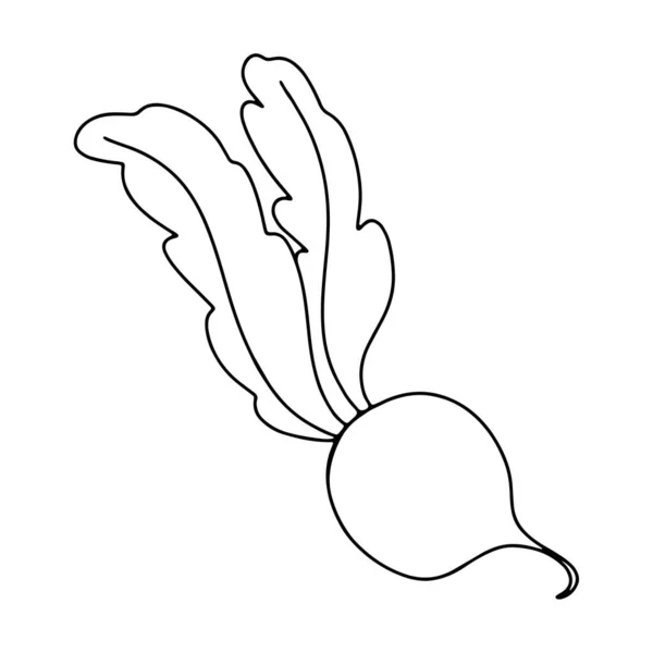 串行油墨涂鸦甜菜萝卜蔬菜 数字艺术 印刷标识 咖啡店 — 图库照片