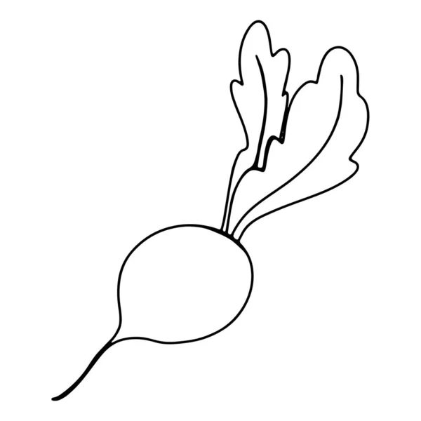 Kontur Tinta Doodle Sayuran Lobak Bit Seni Digital Cetak Logo — Stok Foto