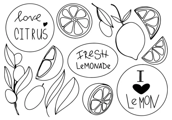 Kawaii Lettering Love Lemon Citrus Leaf Slices Doodle Digital Art — Stock Photo, Image