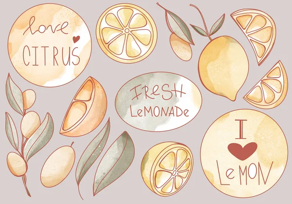 Kawaii Lettering Set Hand Love Lemon Lemonade Citrus Fruits Kumquat — Stock Photo, Image