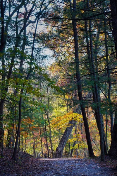 Camino Las Colinas Hocking Otoño Cambio Color Ohio Durante Otoño —  Fotos de Stock