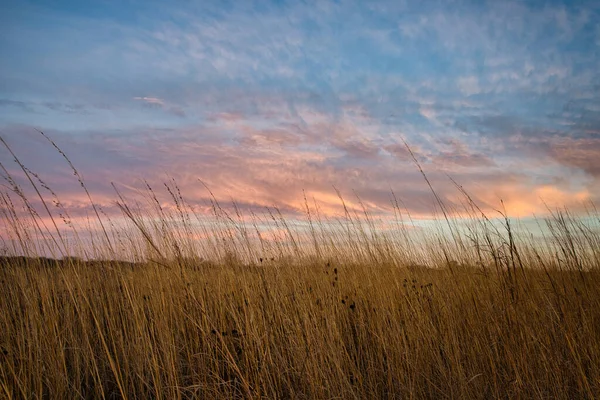 Sunset Prairie Grasses Beautiful Sky Casts Colors Tall Weeds Grain — Stock Photo, Image