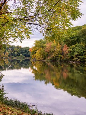 Nehir yansıması sonbahar ağaçları 
