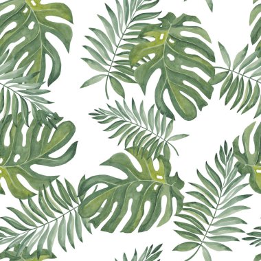 Suluboya desensiz tropikal Monstera yaprakları, Palm. Beyaz arka planda izole edilmiş moda illüstrasyon. El çizimi. Mutfak, tekstil kumaşları, davetiyeler, kartlar, duvar sanatı için tasarım.