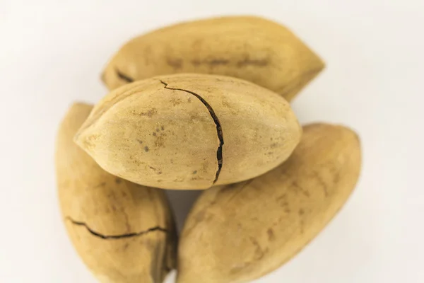 Pecan nuts in shell — Stock Photo, Image