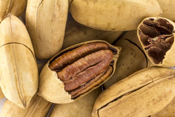 Pecan nuts in shell — Stock Photo, Image